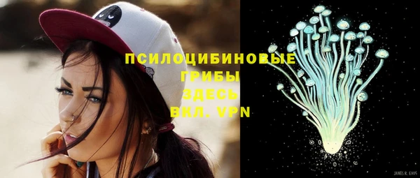 МДПВ Костерёво