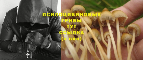 МДПВ Костерёво