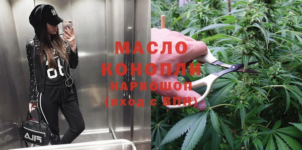 крисы Коряжма