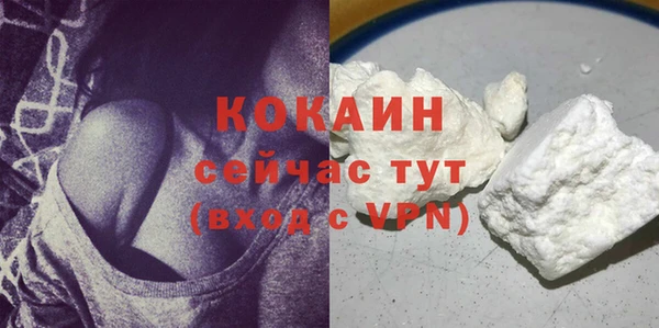 крисы Коряжма