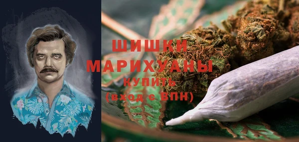 крисы Коряжма