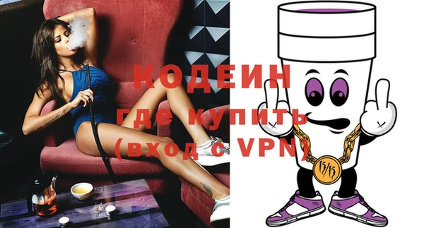 крисы Коряжма