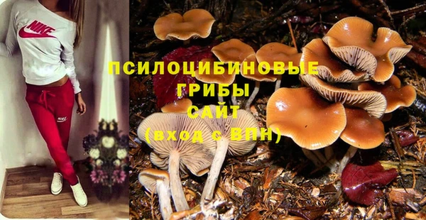 крисы Коряжма