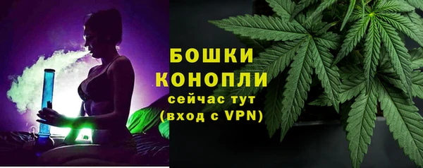 МДПВ Костерёво